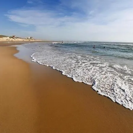 Apartment Studio Dans En Front De Mer Biscarrosse